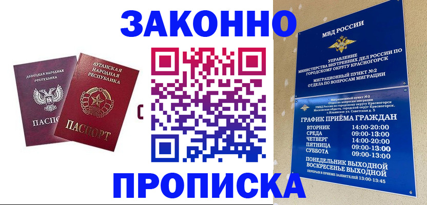 прописка в Звенигово